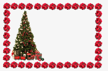 Christmas Frame With Tree - Transparent Background Christmas Picture Frame, HD Png Download, Free Download