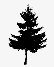 Pine Tree Silhouette Transparent Background, HD Png Download, Free Download