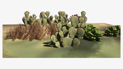 Some Desert Plants - Eastern Prickly Pear, HD Png Download, Free Download