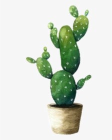 Cactus Png Tumblr - Cactus Plant Watercolor, Transparent Png, Free Download