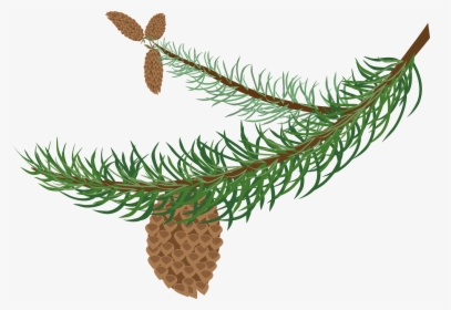 Clipart Winter Tree Branch, HD Png Download, Free Download