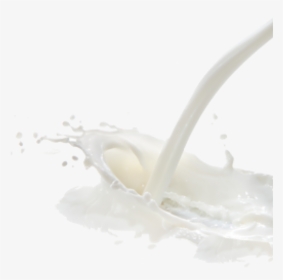 Milk Png Free Download - Png Download Milk Png, Transparent Png, Free Download