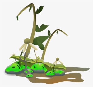 Dead Plants Clip Art, HD Png Download, Free Download