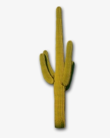 Cactus, Mountains The Distance Steve Lovelace - Saguaro Transparent, HD Png Download, Free Download
