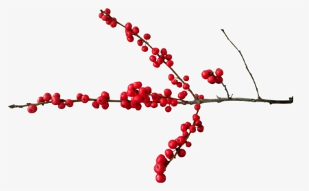 Christmas, Deco, Christmas Motif, Berry Red, Branch - Christmas Berries Transparent Background, HD Png Download, Free Download