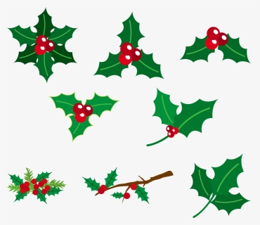 Holly Berries, Red And Green, Christmas, Green, Holly - Common Holly, HD Png Download, Free Download