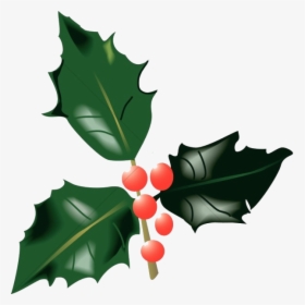 Holly Leaf Leaves And Berries Traditional Christmas - Holly Leaves And Berries, HD Png Download, Free Download