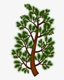 Pine Tree Branch Clip Arts - Clip Art, HD Png Download, Free Download