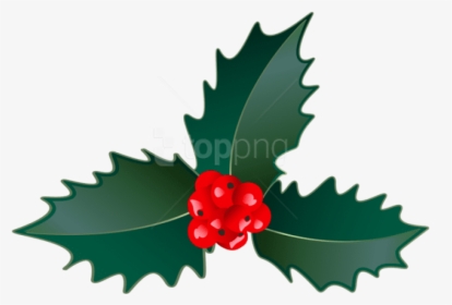 Holly,tree,clip Cherry,flowering Plant,currant,graphics - Illustration, HD Png Download, Free Download