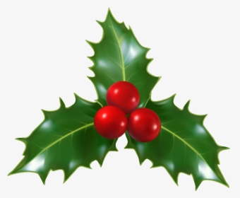 #holly #decoration #christmas #leaves #trio #berries - Transparent Background Holly Png, Png Download, Free Download