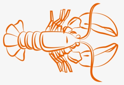 Caridea Shrimp Clip Art - Lobster, HD Png Download, Free Download