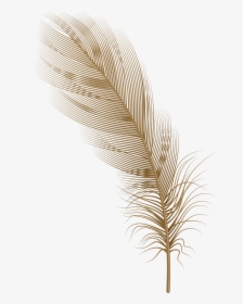 Feather Png Clip Art - Brown Feather Clipart, Transparent Png, Free Download