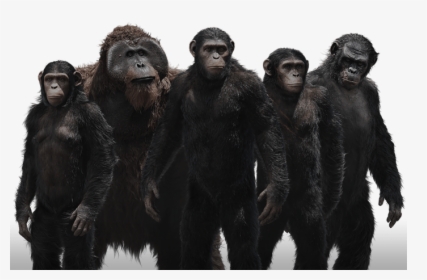 Thumb Image - Planet Of The Apes Png, Transparent Png, Free Download