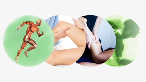 Sports Massage Png - Sport Massage, Transparent Png, Free Download