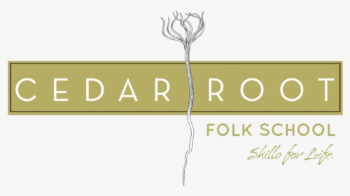 Root Png, Transparent Png, Free Download