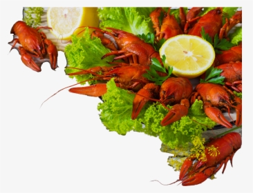 Seafood Png , Png Download - Seafood Boil, Transparent Png, Free Download