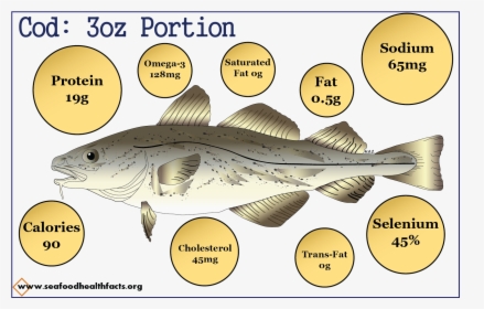 Fish Nutrition Pdf, HD Png Download, Free Download