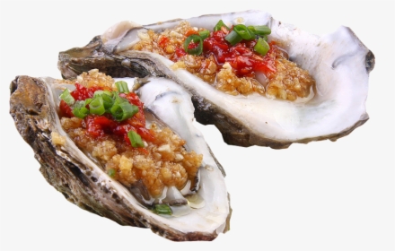Oyster, HD Png Download, Free Download