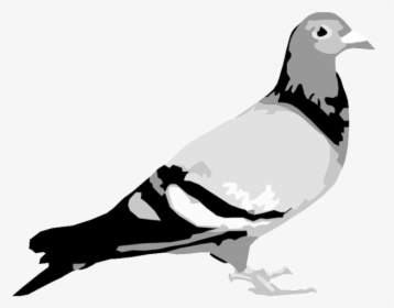 Staple Pigeon Bw - Jeff Staple Pigeon Logo, HD Png Download, Free Download