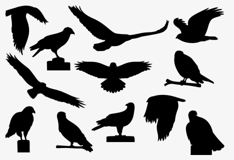 Buzzard Silhouettes Vector - Eagle, HD Png Download, Free Download