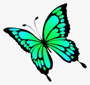 Turquoise Butterfly Clipart - Papilio Machaon, HD Png Download, Free Download