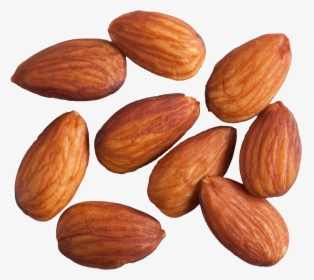 Almond Png Photo Image - Almond Roasted No Salt, Transparent Png, Free Download