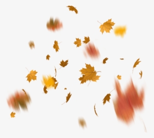Png Png Autumn Leaves Effects, Transparent Png, Free Download