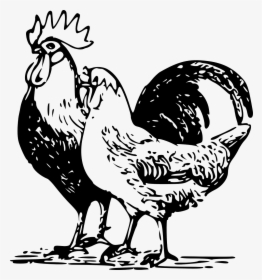 Poultry Images Clip Art Download, HD Png Download, Free Download