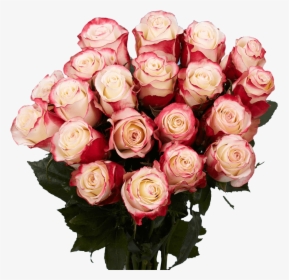 White Roses With Red Tips, HD Png Download, Free Download