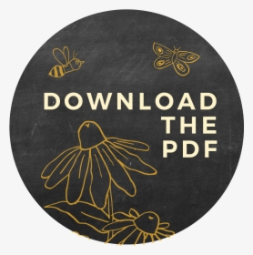 Circle, HD Png Download, Free Download