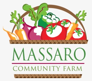 Vegetable Basket Logo By Floy Rodriguez - Massaro Farm, HD Png Download, Free Download