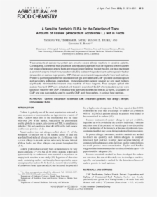 Document, HD Png Download, Free Download