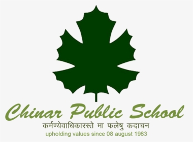 Logo - Chinar Public School Alwar, HD Png Download, Free Download
