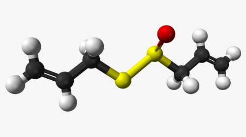 R Allicin 3d Balls - Molecule, HD Png Download, Free Download