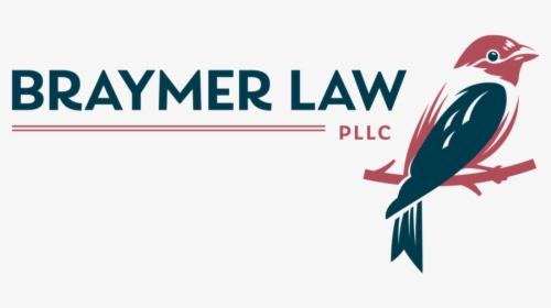 Braymerlaw Logos Horizontal 2color - Finch, HD Png Download, Free Download