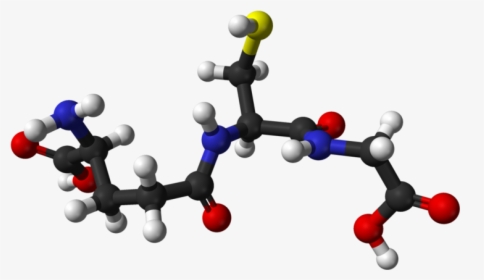 Thumb Image - L Glutathione Molecule, HD Png Download, Free Download