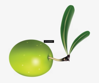 Olive Clipart Jamun Fruit - Clip Art, HD Png Download, Free Download