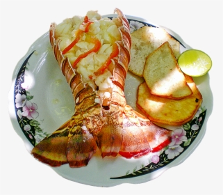 Lobster Tail - Does Lobster Taste Fishy, HD Png Download, Free Download