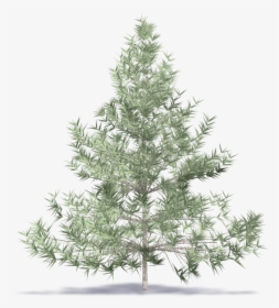 Transparent Fir Branch Png - 6.5 Flocked Pencil Christmas Tree, Png Download, Free Download