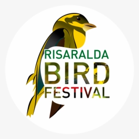 Risaralda Bird Festival - Risaralda Bird Festival 2018, HD Png Download, Free Download
