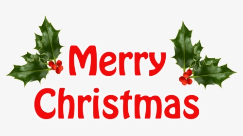Transparent Holly Berries Png - Merry Christmas With Holly, Png Download, Free Download