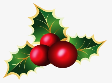 Transparent Christmas Mistletoe Png Picture - Transparent Background Holly Clipart, Png Download, Free Download