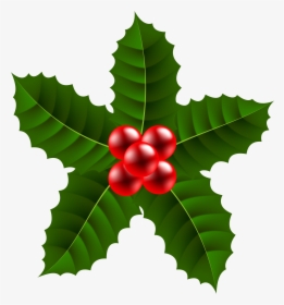 Large Christmas Holly Png, Transparent Png, Free Download
