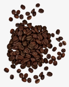 Coffee Beans Top View Png, Transparent Png, Free Download
