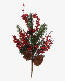 Fir Branch With Red Berries And Cones, 53cm - Christmas Tree, HD Png Download, Free Download