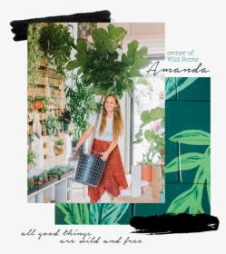 Amanda-wildroots - Banner, HD Png Download, Free Download