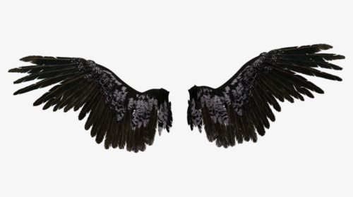 Black Angel Wings Transparent, HD Png Download, Free Download