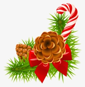 Christmas Pine With Cones - Christmas Pine Cones Clipart, HD Png Download, Free Download
