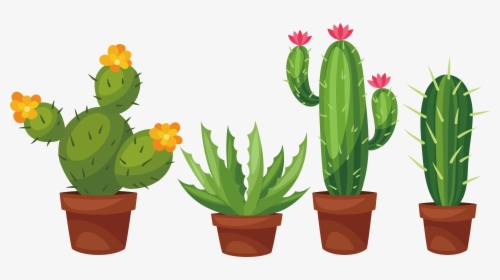 Succulent Plant Cactaceae Prickly Pear Clip Art - Cactus Succulent Clip Art, HD Png Download, Free Download