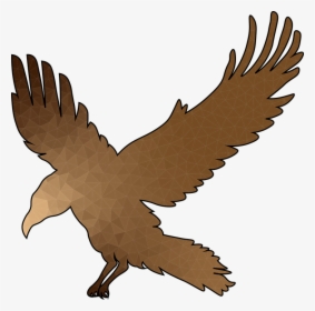 Crow, Flight, Bronze, Wings, Raven, Bird, Feather - Buzzard, HD Png Download, Free Download